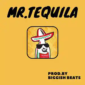 Picture for song 'Mr. Tequila ( Old School / Boombap ) - 105 bpm' by artist 'Biggish Beats'