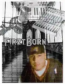 Artist picture