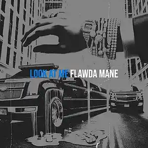 Picture for song 'No Lies- *BUY 1 GET 2*' by artist 'FlawdaManeDidTheTrack'