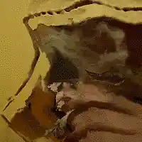 Picture for song 'Can't Tell' by artist 'HYPE BEATS'