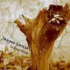 Picture for song 'Tangago' by artist 'Jaypee Garcia'