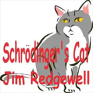 Picture for song 'Schrodingers Cat' by artist 'Jim Redgewell'