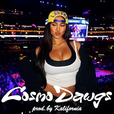 Picture for song 'Cosmo Dawgs @kalifornia.lover (C#minor 164bpm)' by artist 'Kalifornia'