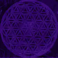 Picture for song '(NEW) Full Circle' by artist 'LEXI BANKS'