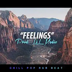 Picture for song ''Feelings' // BUY ONE GET ONE FREE' by artist 'LiL Medic Beats'
