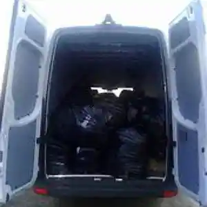 Picture for song 'mad season puma dea first immortaul wife trudeaue' by artist 'mcmakktenicetxtheprince'