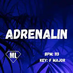 Picture for song 'ADRENALIN - Mendi Like (113 BPM - F Major)' by artist 'Mendi Like'