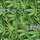 Picture for song 'P1ug - 4 2 0 (Studio Reverb)' by artist 'P1u9'