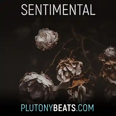 Picture for song 'Sentimental (Buy 1 get 2 Free)' by artist 'Plutonybeats'