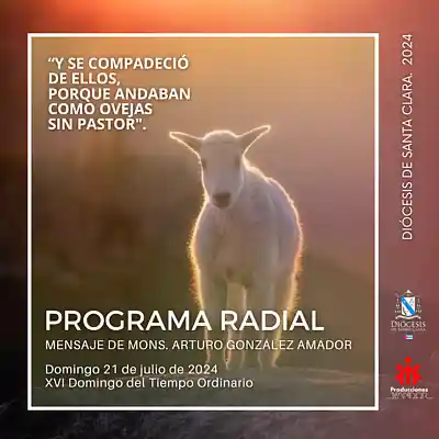 Picture for song 'XVI Domingo del Tiempo Ordinario,21 de julio' by artist 'Producciones Vandor'