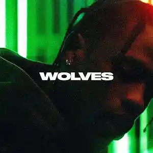 Picture for song '"Wolves" Travis Scott x Don Toliver' by artist 'SIGHOST'