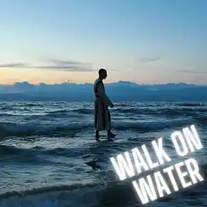 Picture for song 'Walk On Water (Hook By Fedarro)' by artist 'Fedarro'