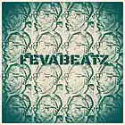 Picture for song 'WINTER HEAT' by artist 'FEVABEATZ.COM'
