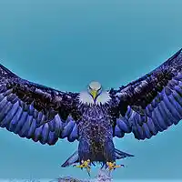 Picture for song 'Spread your wings' by artist 'Gabriel 880'