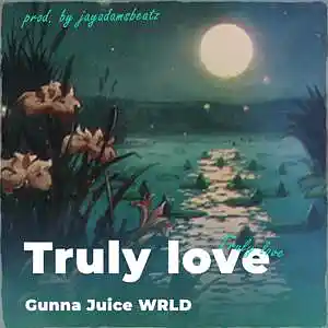 Picture for song 'Truly Love' by artist 'jayadamsbeatz'