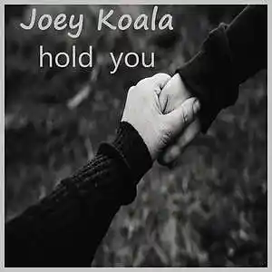 Picture for song 'Hold You' by artist 'Joey Koala'