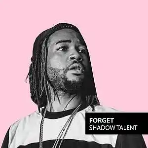 Picture for song '"Forget" Partynextdoor Type Beat Sad/Smooth Rnb' by artist 'Shadow Talent'