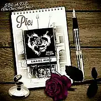Picture for song 'PIC!' by artist 'S.W.A.D.E. (THE ONE AND ONLY)'