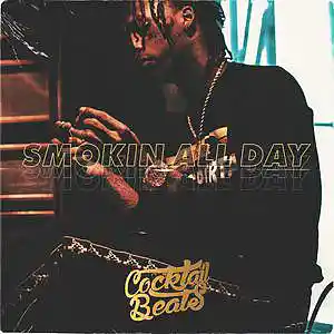 Picture for song '*Smokin all day*' by artist 'Cocktail Beats'