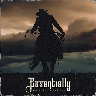 Picture for song 'ESSENTIALLY(Acoustic Guitar Country X Blues Rock)' by artist 'Die Naum Production'