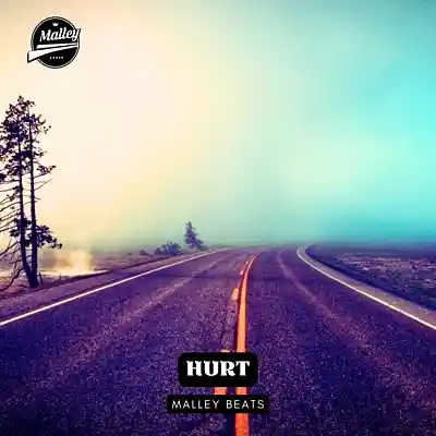 Picture for song 'HURT (MORGAN WALLEN TYPE BEAT) [1]' by artist 'Malley Beats'