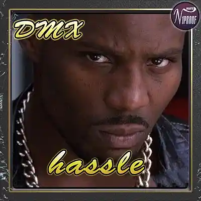 Picture for song 'DMX TYPE BEAT HASSLE' by artist 'N1PROOF BEATS'