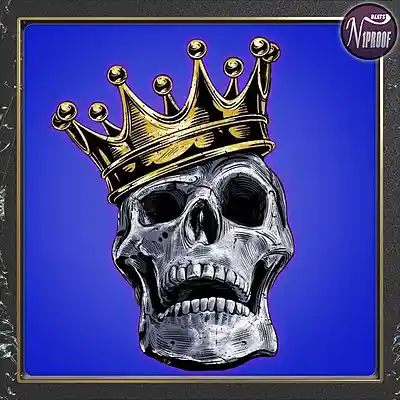 Picture for song 'Enigma' by artist 'N1PROOF BEATS'