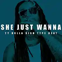Picture for song 'She Just Wanna Ty Dola $ign Type ' by artist 'Prod By Skynny'