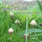 Picture for song 'Chilled Shuffle (Mysterious Beyond Mix)' by artist 'Pumphouse'