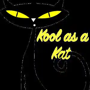 Picture for song 'Mister Kool' by artist 'Sounds by Ramolly'