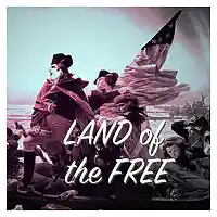 Picture for song 'Land of the Free' by artist 'Turtle Necromancer'