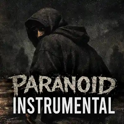 Picture for song '"Paranoid"' by artist 'Beats with Hooks.'
