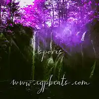 Song picture