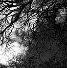 Picture for song 'TREACHEROUS' by artist 'DJ DAMSELF'