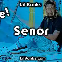 Picture for song 'FREE Senor Prod By @LilBanksNoww' by artist 'Lil Banks Productions'
