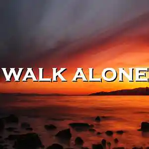 Picture for song 'Walk Alone' by artist 'SadGlad Music'