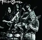 Picture for song 'Pile O' Skin' by artist 'ThickSkind'