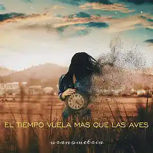 Picture for song 'el tiempo vuela más que las aves' by artist 'uranometria'