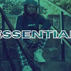 Picture for song 'Essential' by artist 'Chipz On The Beat'