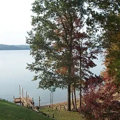 Picture for song 'H.I.R.G.' by artist 'LAMA DINER'