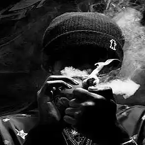 Picture for song 'DAT DOPE' by artist 'HOLLYWOOD LEGEND PRODUCTIONS'