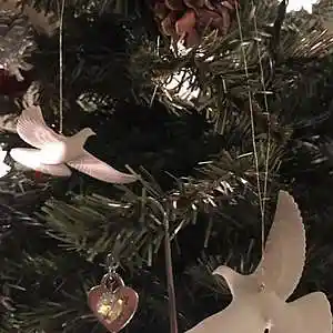 Picture for song 'Christmas Morn' by artist 'John Matteson'