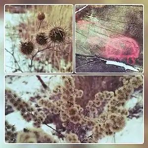 Picture for song 'Revolution' by artist 'Restsound'