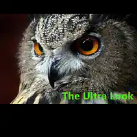 Picture for song 'The Look - Ultra Look SINGLE' by artist 'The Ultra Lancers'