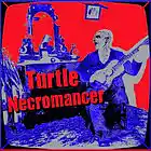 Picture for song 'Betcha Wunda (Ode to Marvin)' by artist 'Turtle Necromancer'