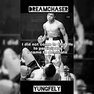 Picture for song 'Dream Chaser' by artist 'Yungfely'