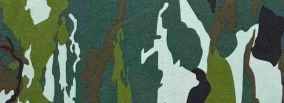 cover pic