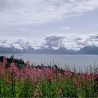 Picture for song 'Eyes Of A Friend (feat. Annagrey Labasse)' by artist 'Cathy Wilson - Songwriter'