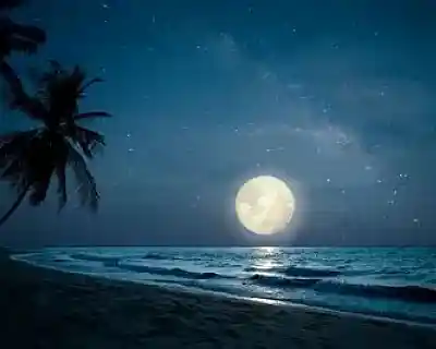 Picture for song '[Free] Melodic x Chill type beat - "Remember Me?"' by artist 'CGMI'