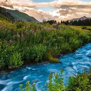 Picture for song 'Mellowdy (Instrumental)' by artist 'Denzlo'